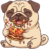 Sweet Pug Eating Italian Lasagna