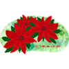 Poinsettia