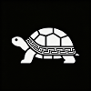 Geometric turtle with pattern