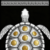 Turtle Coin Plate