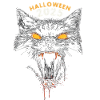 Halloween 2025 Black Cat