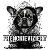 Cool French Bulldog