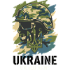 Ukraine Unified Army Helmtarnung
