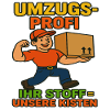 Moving Professional Moving Service Crates Carriers