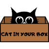 Cat in Box Peekaboo