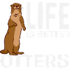 Seeotter Leben Besser