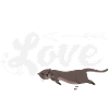 Sea Otter Cartoon Peace Love