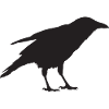 Crow II