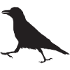 Crow I