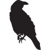 Crow III