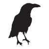 Crow IV