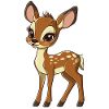 roe deer