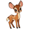 roe deer