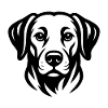Line Print Dog Portrait