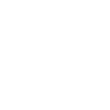 Gecko Skeleton: Lizard, Reptile & Bones