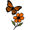 Butterfly and Blossom Graffiti