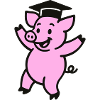 Diploma Pig