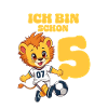 Football Lion 5th Birthday