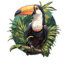 Toucans Toucan