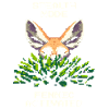 Mode furtif – Fennec activé | Fennec