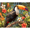 Toucans Toucan