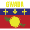 GWADA Guadeloupe flag t-shirt