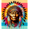 American Indian American