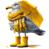 Mouette avec parapluie jaune et bottes