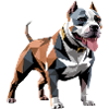 Bulldog - Cool Low Poly  Logo