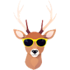 Deer with sunglasses