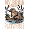 Funny aesthetic Kawaii Platypus