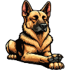 Deutscher Schäferhund Schäferhunde Schäferhunde