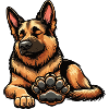 German Shepherd Shepherd Dogs Shepherd Dogs