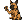 Talk to the Paw German Shepherd