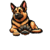 Talk to the Paw German Shepherd