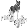 Mistress's sled with dog motif