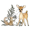 Reh_und_Eichhoernchen