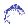 Fisherman's Festival