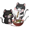 chats mangeant des ramen