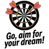 Aim for Your Dream Dartboard