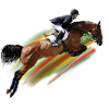 Jumping Rider with Rainbow Stripes