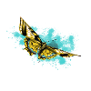 Yellow Butterfly Splash