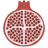 Pomegranate Slice