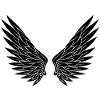 Black White Pair of Wings