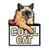 Cool Cat