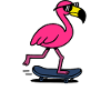 Patin Flamingo on the Move