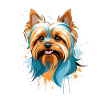 Bunter Yorkie Blick