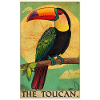 Toucans Toucan
