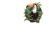 Toucans Toucan