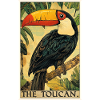 Toucans Toucan